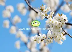 آسمان مجازی شکوفه کد 13185