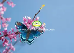 آسمان مجازی شکوفه پروانه کد 13199