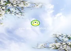 آسمان مجازی آسمان شکوفه کد 13241