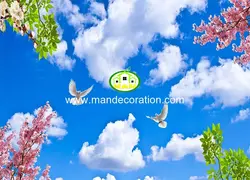 آسمان مجازی آسمان کد 13023