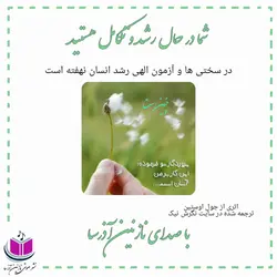 کتاب صوتی شما در حال رشد و تکامل هستید