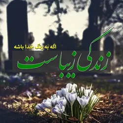 بهترین ها سهمتان