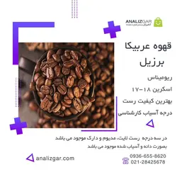 خرید قهوه عربیکا برزیل ریومیناس - آنالیزگر