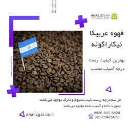 خرید قهوه عربیکا نیکاراگوئه - آنالیزگر