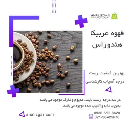 خرید قهوه عربیکا هندوراس - آنالیزگر