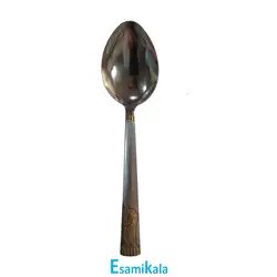 قاشق هخامنشی