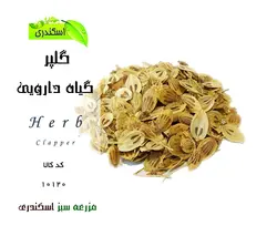 گلپر
