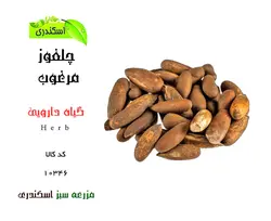 گیاه چلغوز