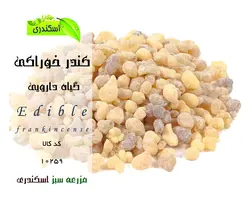 کندر خوراکی نر اصلی