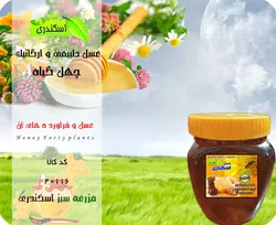 عسل چهل گیاه طبیعی و ارگانیک