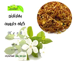 گیاه بهارنارنج