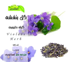 گل بنفشه(مازنی)