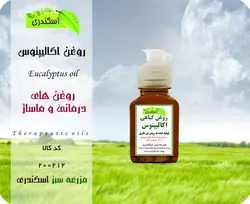 روغن اکالیپتوس اصل