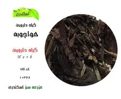 گیاه هواچوبه