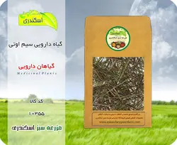 گیاه سیم اوتی (گیاه قشنگی)