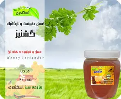 عسل گشنیز طبیعی و ارگانیک(مخصوص افراد دیابتی)