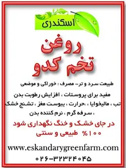 روغن تخم کدو اصل