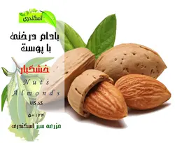 بادام درختی با پوست