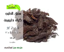 گیاه سنبل الطیب