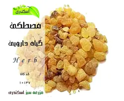 مصطکی اصل