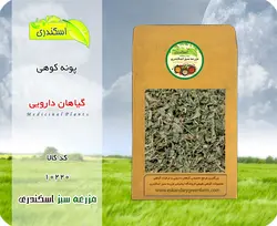 پونه کوهی