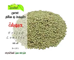 عدس طبیعی و سالم ایرانی