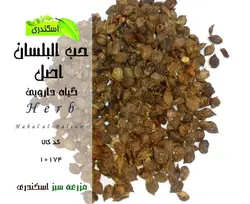 گیاه حب البلسان اصل