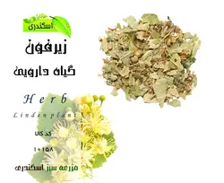 گیاه زیرفون