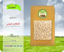 کینوا