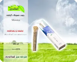چوب مسواک گیاهی میسویکا بزرگ