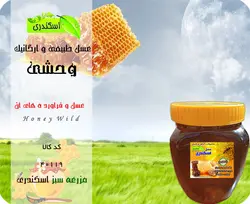 عسل وحشی طبیعی و ارگانیک