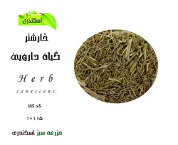 گیاه دارویی خارشتر