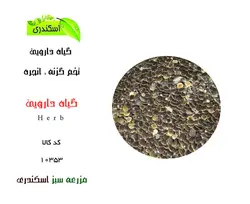 گیاه دارویی بذر انجره سمنانی