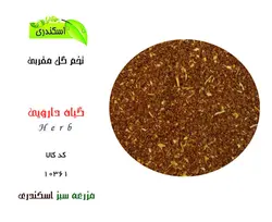 تخم گل مغربی