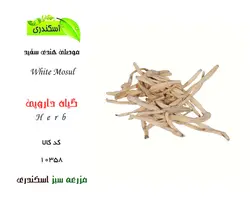 گیاه دارویی موصلی هندی سفید