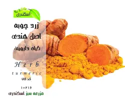 زردچوبه هندی
