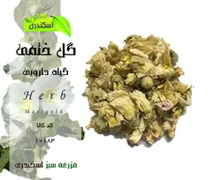 گل ختمی
