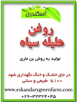 روغن هلیله سیاه اصل