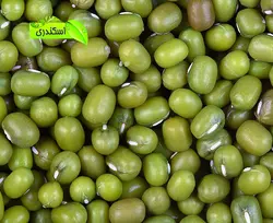 ماش طبیعی و سالم ایرانی