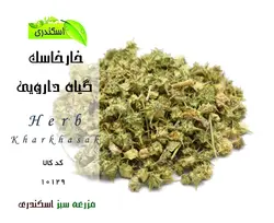 گیاه خارخاسک