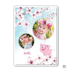 قاب عکس MDF طرح نوروزی T012