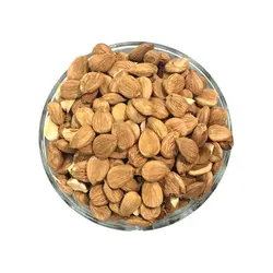 مغز هسته زردآلو