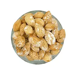بادام کاغذی محب شور