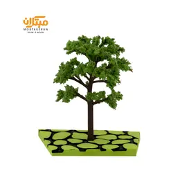 درخت اکالیپتوس مبتکران