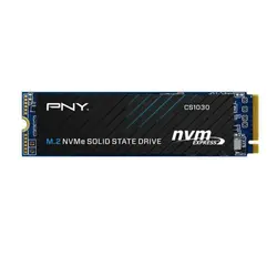 حافظه SSD  پی ان وای PNY CS1030 256GB M.2