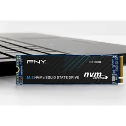 حافظه SSD  پی ان وای PNY CS1030 256GB M.2