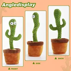 کاکتوس رقصنده سخنگو Dancing Cactus