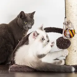 برج مخملی گربه ها PETMAKER