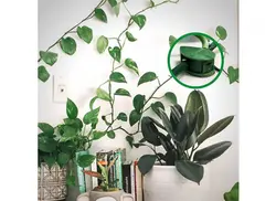 گیره چسبدار نگهدارنده گل و گیاه - فروشگاه ویتابن