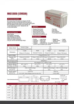 باتری فاراتل 65 آمپر MAC | شرکت راژمان الکترونیک 02126414529